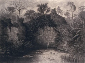 Vue du golfe de Biafra, Afrique de l